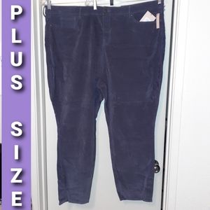 NYDJ Plussize 28W Pants. NWT